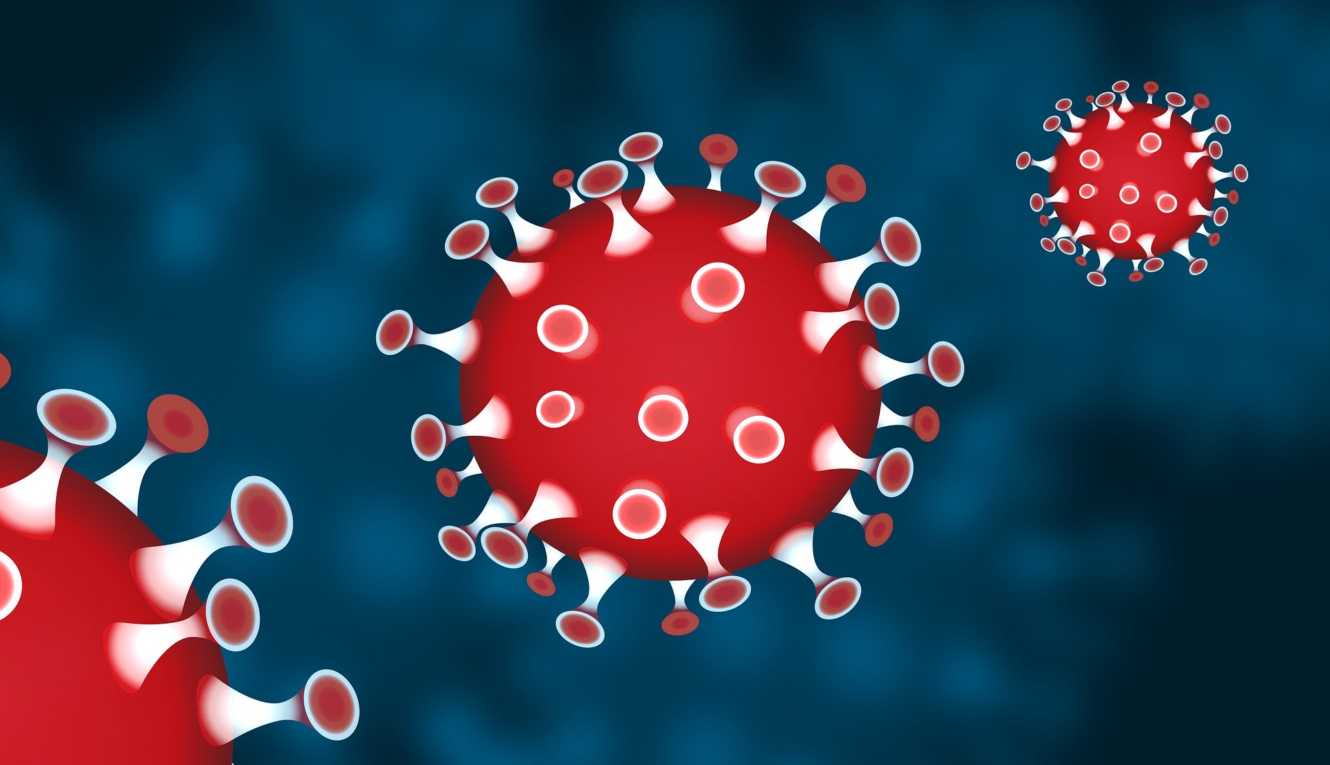 Coronavirus/COVID-19 in Denmark